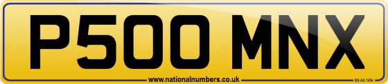 P500 MNX