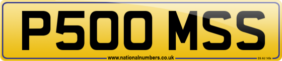 P500 MSS