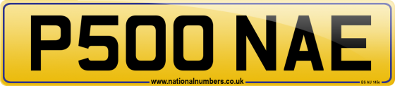 P500 NAE
