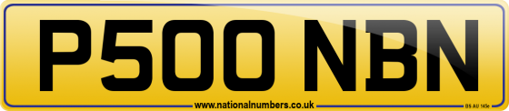 P500 NBN