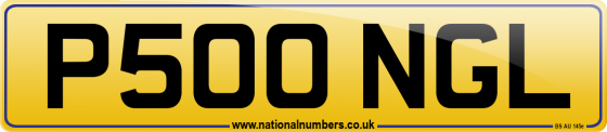 P500 NGL
