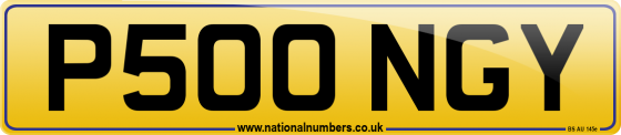 P500 NGY