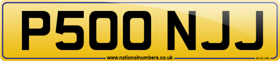 P500 NJJ