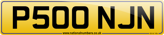 P500 NJN