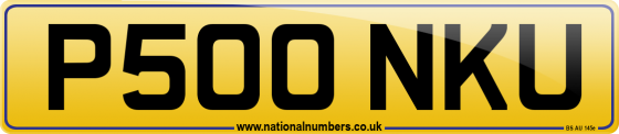 P500 NKU