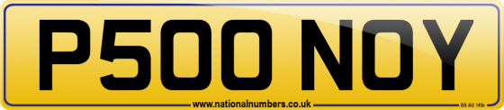 P500 NOY