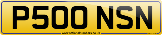 P500 NSN