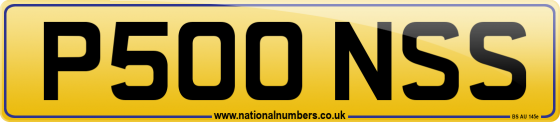 P500 NSS