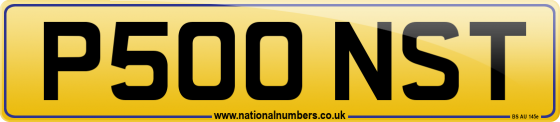 P500 NST