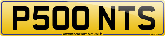 P500 NTS