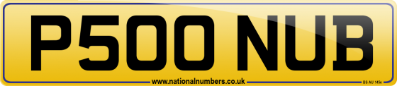 P500 NUB