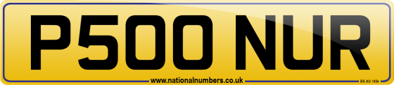 P500 NUR