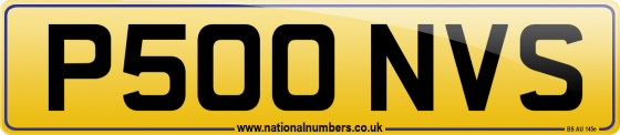 P500 NVS