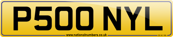 P500 NYL