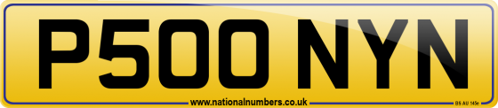P500 NYN