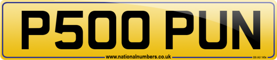 P500 PUN