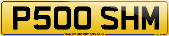 P500 SHM