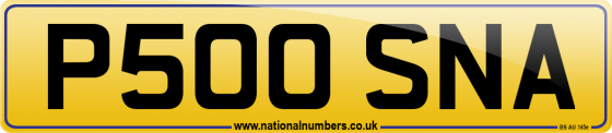P500 SNA