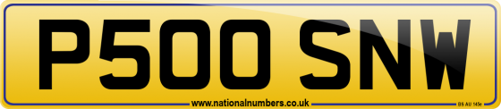 P500 SNW