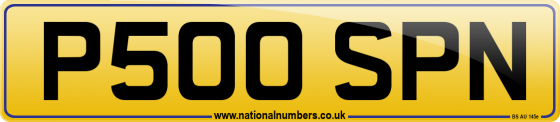 P500 SPN
