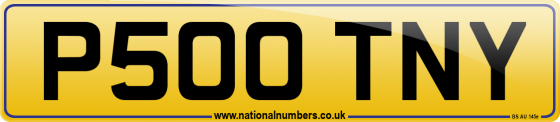 P500 TNY
