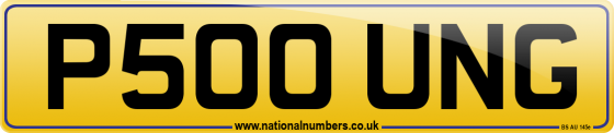 P500 UNG