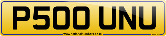 P500 UNU