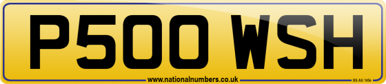 P500 WSH