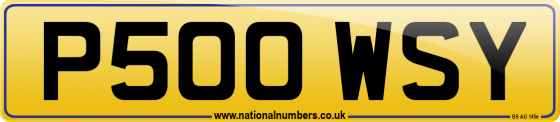 P500 WSY