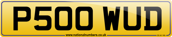 P500 WUD