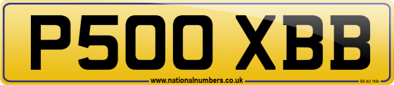 P500 XBB