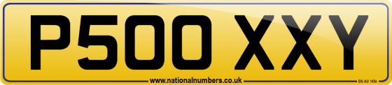P500 XXY