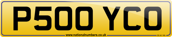 P500 YCO