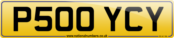 P500 YCY