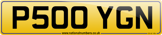 P500 YGN