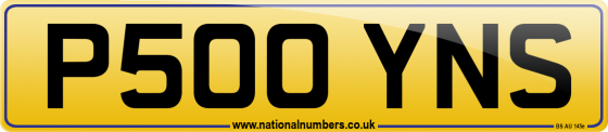 P500 YNS