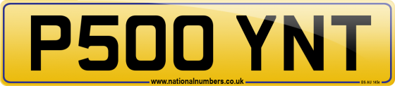 P500 YNT