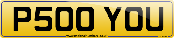 P500 YOU