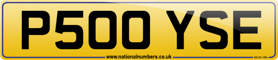 P500 YSE