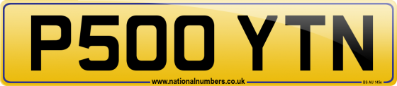 P500 YTN