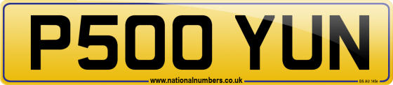 P500 YUN