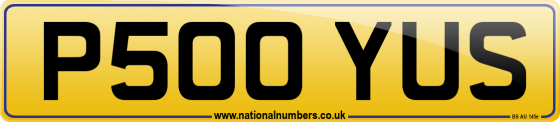 P500 YUS