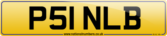 P51 NLB