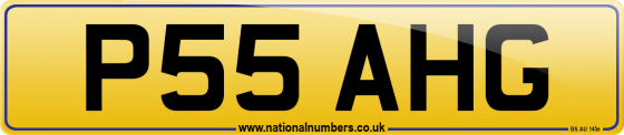 P55 AHG