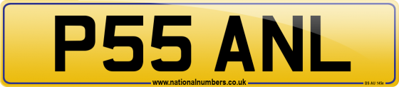 P55 ANL