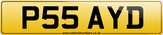P55 AYD