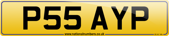 P55 AYP