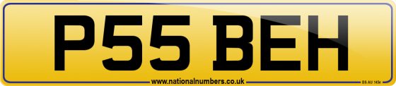 P55 BEH