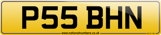 P55 BHN