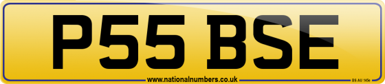P55 BSE